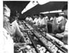 Mc Cains Foods Ltd.
