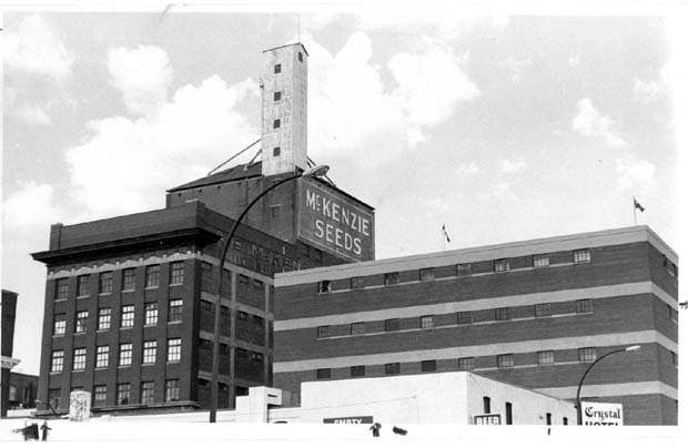McKenzie Steel - Briggs Seeds Ltd.