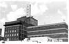 McKenzie Steel - Briggs Seeds Ltd.