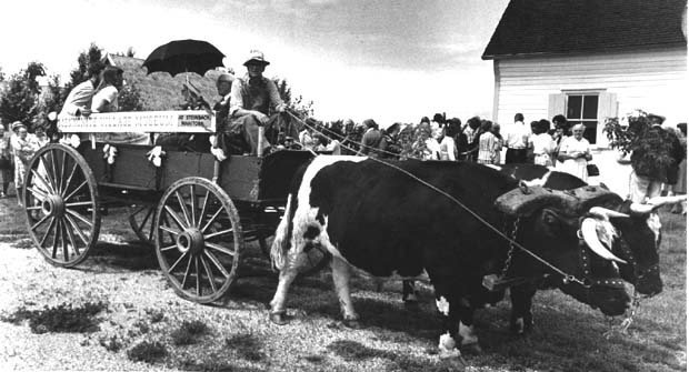 Mennonites
