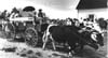 Mennonites
