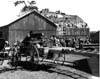 Mennonites