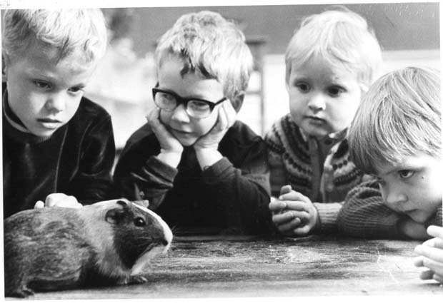Montessori Schools