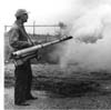 Mosquito Campaign
