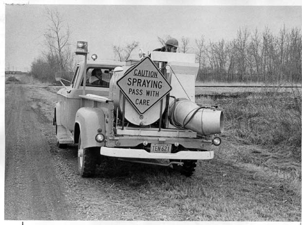 Mosquito Campaign