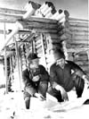 Mountain Log Builders