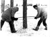 Northern Manitoba Trappers Festival