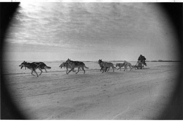 Northern Manitoba Trappers Festival
