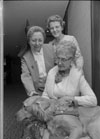 Nurses