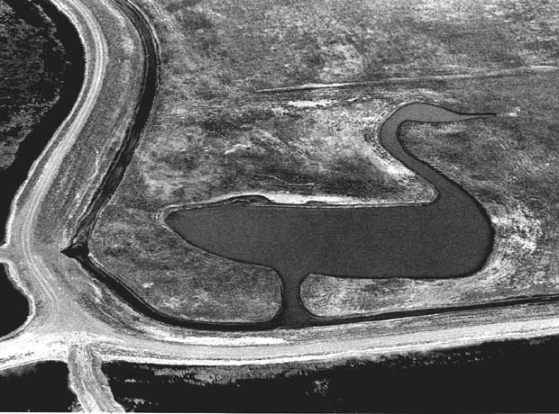 Oak Hammock Marsh