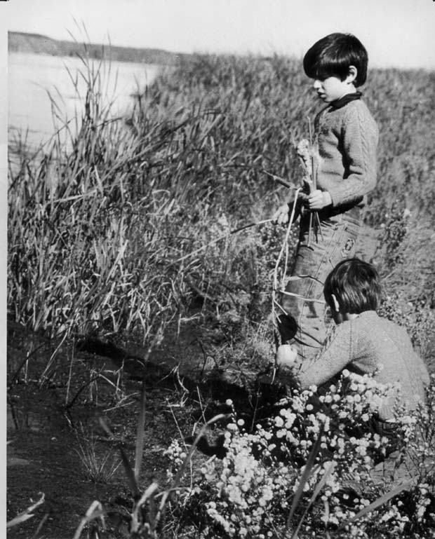 Oak Hammock Marsh