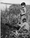 Oak Hammock Marsh