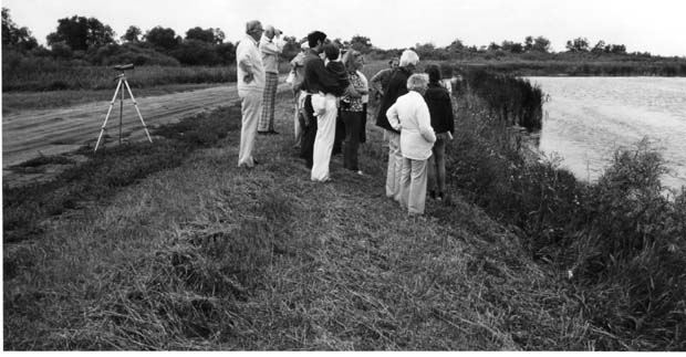 Oak Hammock Marsh