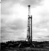 Oil