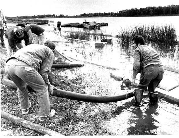 Oil Pollution