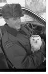 Owls