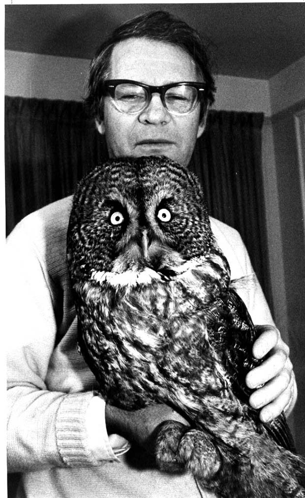 Owls