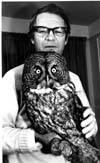 Owls
