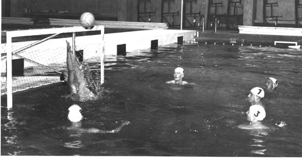 Pan-Am Swimming Pool