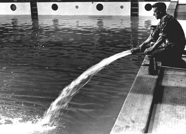 Pan-Am Swimming Pool
