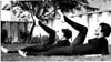 Physical Fitness