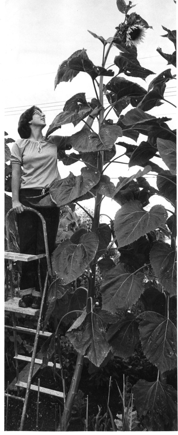 Plants