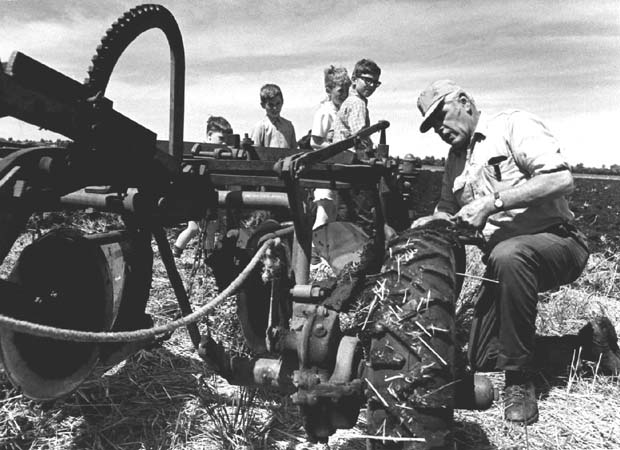 Ploughing Contests