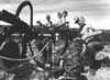 Ploughing Contests