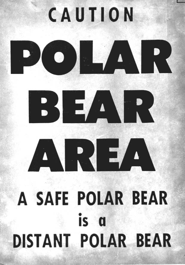 Polar Bears