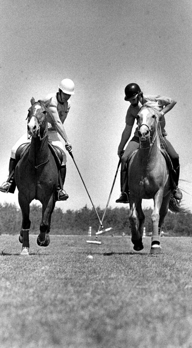 Polo