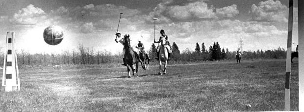 Polo