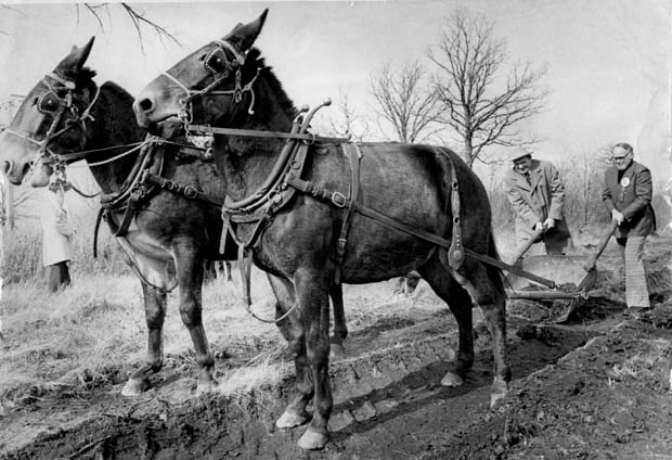 Railway History Manitoba