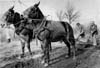 Railway History Manitoba