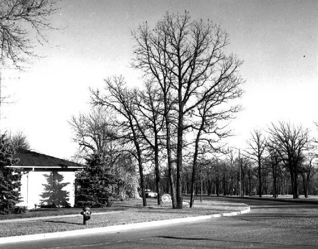 River Park