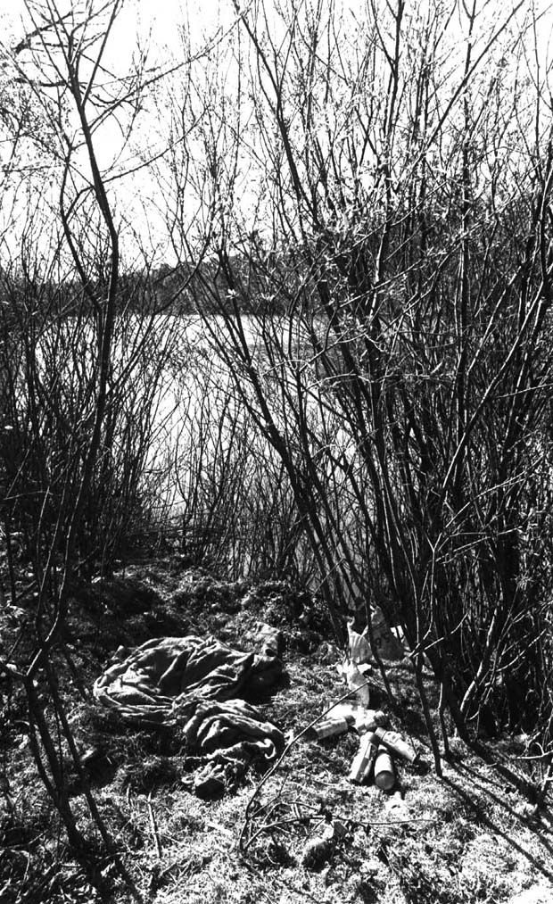 Rivers and Riverbanks Winnipeg