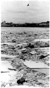 Rivers and Riverbanks Winnipeg