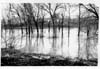 Rivers and Riverbanks Winnipeg