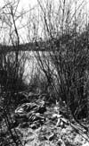 Rivers and Riverbanks Winnipeg