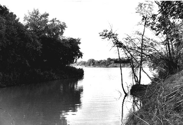 Rivers and Riverbanks Winnipeg
