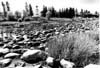 Rivers and Riverbanks Winnipeg