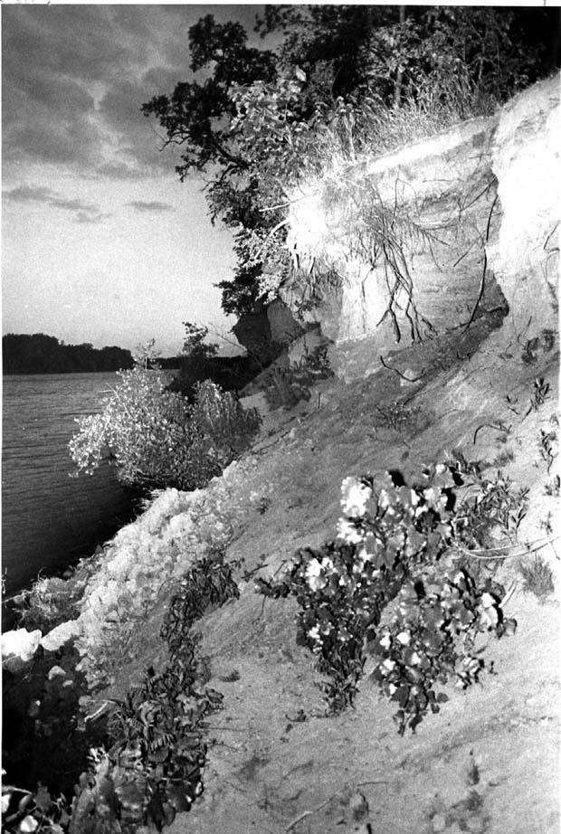 Rivers and Riverbanks Winnipeg