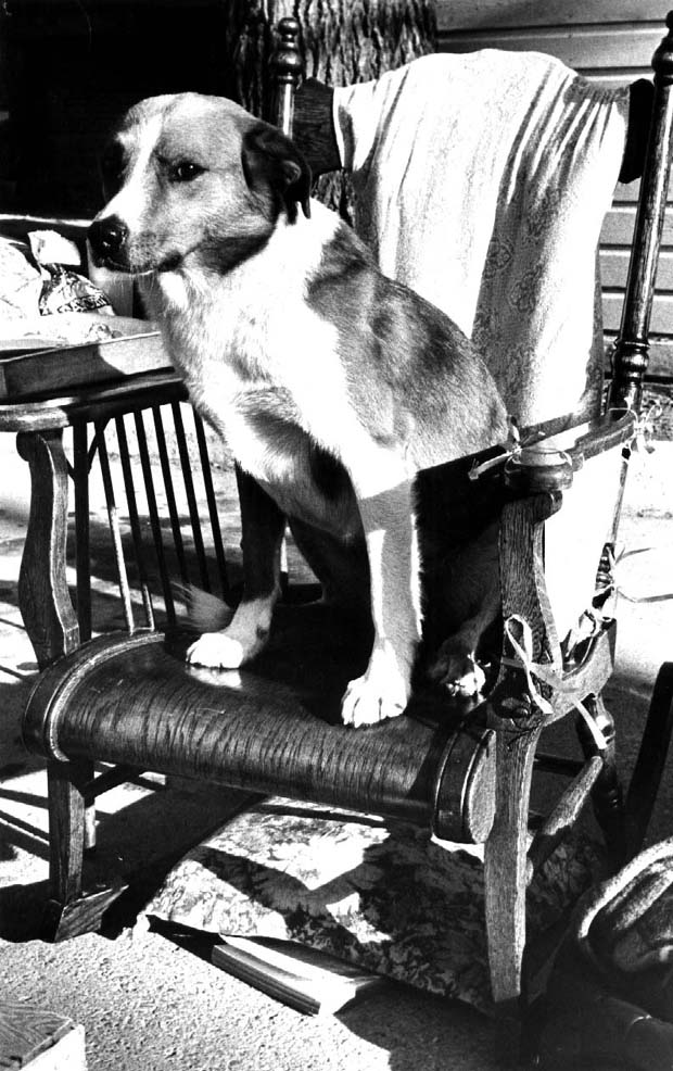 Rocking Chairs and Rocking Chair Contests