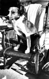 Rocking Chairs and Rocking Chair Contests