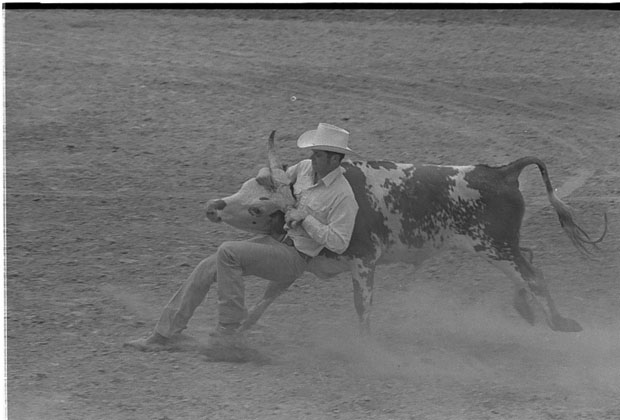 Rodeos
