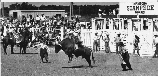 Rodeo