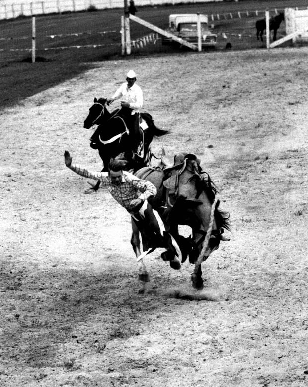 Rodeo