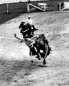Rodeo