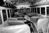 School Buses and Drivers