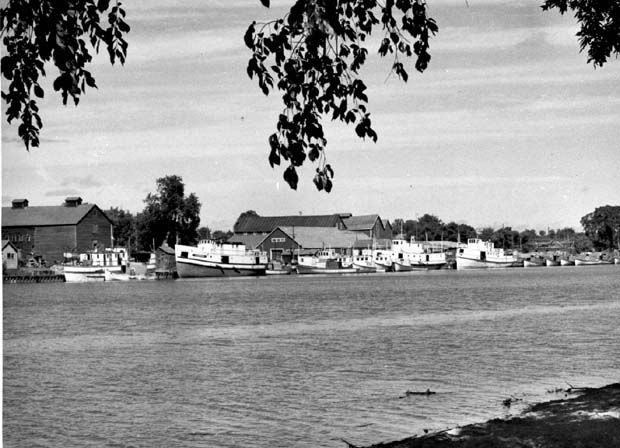 Selkikirk