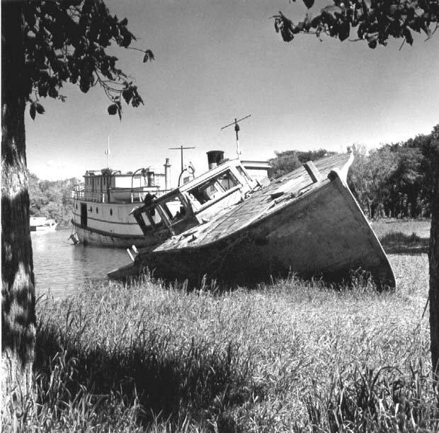 Selkikirk